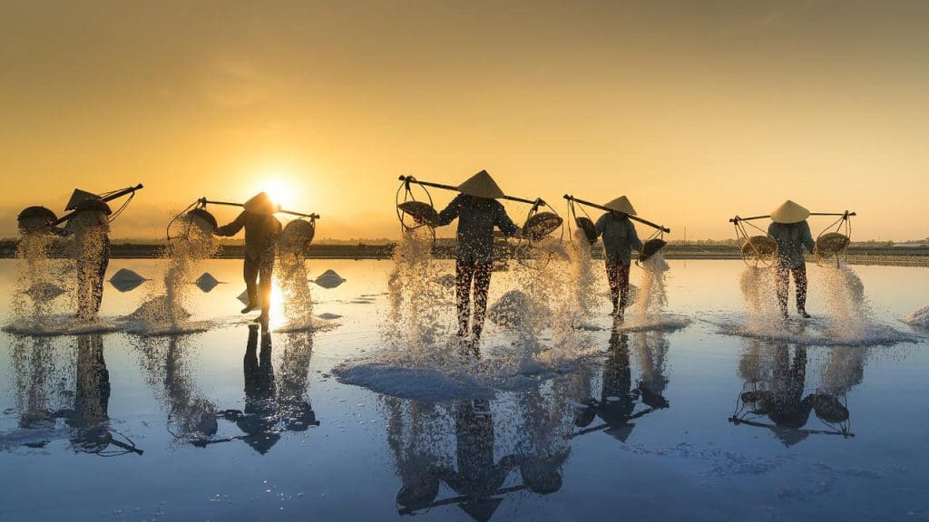 Free and open access environmental courses !